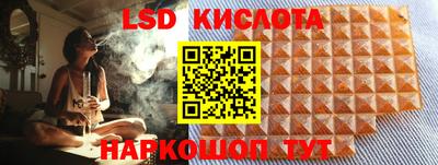 эйфоретик Владимир