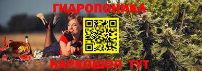 эйфоретик Владимир